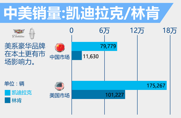 中国豪华车市场销量前十的车企包括德系四大品牌奥迪、宝马、梅赛德斯-奔驰以及跑车制造商保时捷;英国豪华品牌捷豹路虎;瑞典豪华车制造商沃尔沃,日系豪华品牌雷克萨斯、英菲尼迪;法国豪华品牌DS;美系豪华品牌凯迪拉克。美国市场中销量前十的豪华品牌并不包括DS和保时捷,取而代之的是日系、美系豪华的讴歌和林肯。此外,DS品牌目前尚未进军美国豪华车市场。